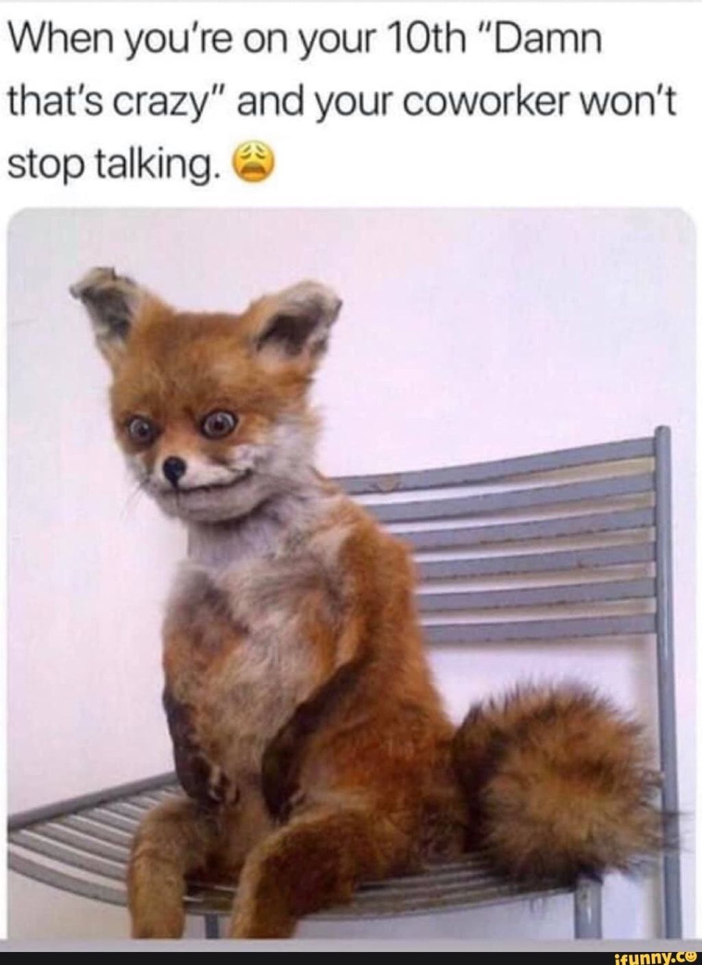 What Do I Listen to During&nbsp;Work?